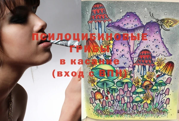 MESCALINE Белокуриха