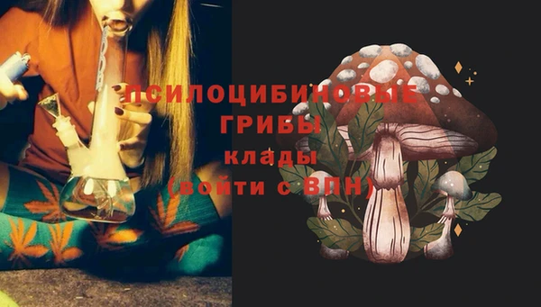 MESCALINE Белокуриха