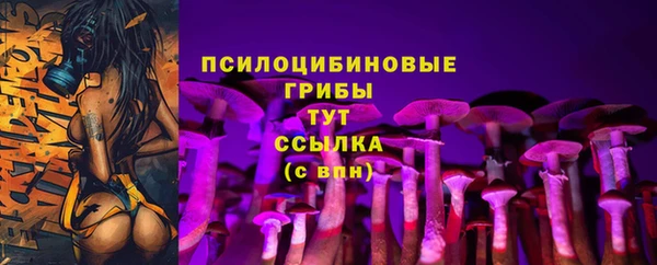 эйфоретик Рославль