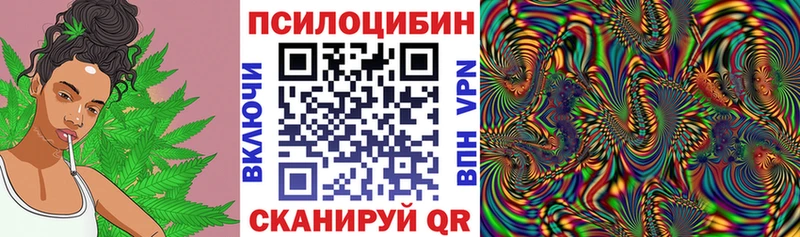 Псилоцибиновые грибы MAGIC MUSHROOMS  Гулькевичи 