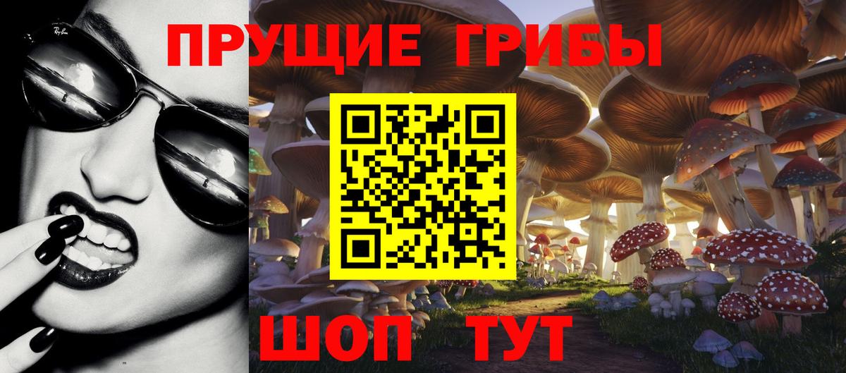 Галлюциногенные грибы Cubensis  Вход с VPN  Псилоцибиновые грибы ЛСД  Гулькевичи 